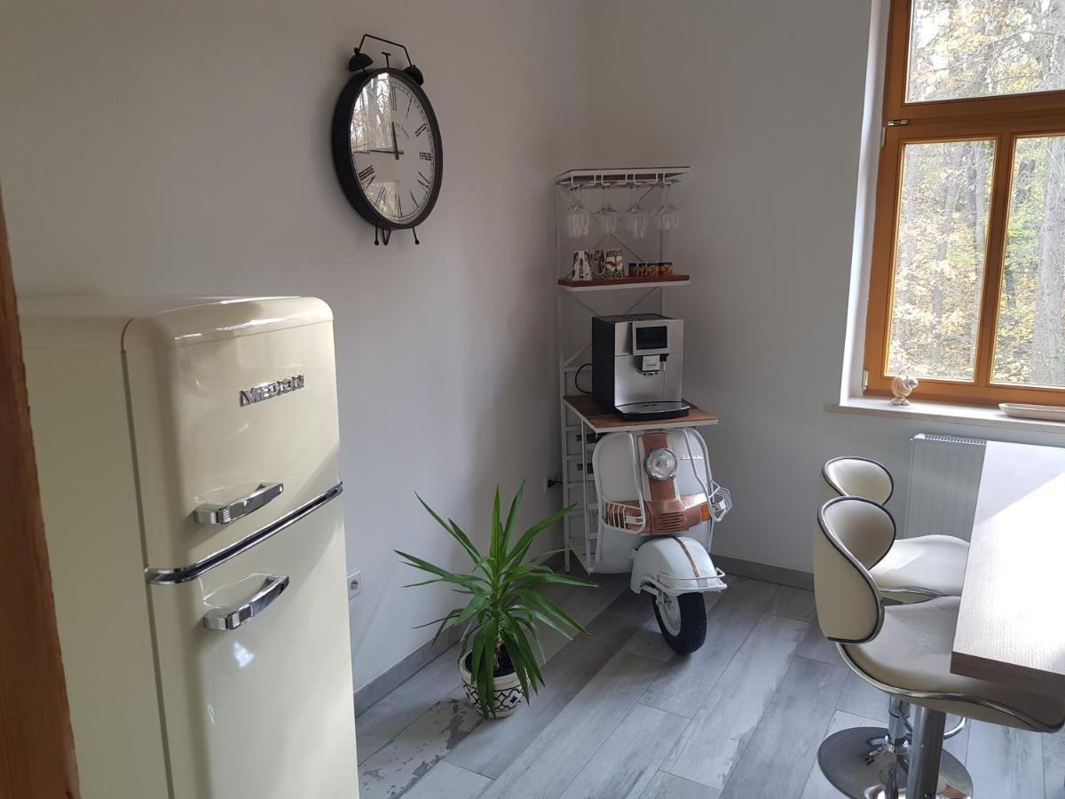 Apartment Domizil Adler Dresden